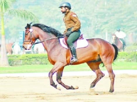 national horse riding compilation meerut